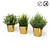 FEJKA Artificial Potted Plants - Lifelike Home Decor 3D model small image 5