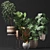 Five Plant Collection: Outdoor and Indoor Ornamental Plants 3D model small image 3