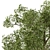 Diverse Foliage Set: Tree Broadleaf 3D model small image 2