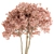 Pretty Pink Ficus Tree - Set 23
(Russian translation: Красивое розовое дерево Ф 3D model small image 3