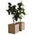 Nature's Delight: Boxed Tree Set 3D model small image 2