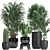 Exotic Plant Collection: Rhapis, Banana Palm, Ravenala, Strelitzia 3D model small image 1