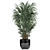 Exotic Plant Collection: Rhapis, Banana Palm, Ravenala, Strelitzia 3D model small image 3