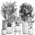 Exotic Plant Collection: Rhapis, Banana Palm, Ravenala, Strelitzia 3D model small image 5