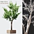 Versatile Dual-Season Tree 3D model small image 1