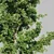 Versatile Dual-Season Tree 3D model small image 2