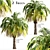 Exotic Pair: Pygmy Date Palm Trees 3D model small image 1