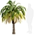 Exotic Pair: Pygmy Date Palm Trees 3D model small image 2