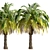 Exotic Pair: Pygmy Date Palm Trees 3D model small image 3