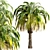 Exotic Pair: Pygmy Date Palm Trees 3D model small image 4