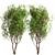 White Willow Tree Set (2 Trees) 3D model small image 1