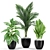 Green Oasis: Exquisite Plant Collection 3D model small image 3