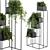 Elegant Indoor Plant Set 3D model small image 2