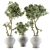 Concrete Pot Outdoor Plant Set 3D model small image 1