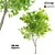 Ash Tree Woodcraft: 464,456 Polygons 3D model small image 1