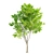 Ash Tree Woodcraft: 464,456 Polygons 3D model small image 2