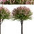  Vibrant Set of Dappled Willow Trees (3-Pack) 3D model small image 2