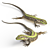 European Wall Lizard - 5 Dynamic Poses 3D model small image 5