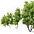 Edible Fig Tree - Ficus Carica 3D model small image 4