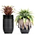 Exotic Plant Collection in Black Pots 3D model small image 3