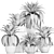 Exotic Plant Collection in Black Pots 3D model small image 5