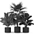 Tropical Oasis: 419 Plants 3D model small image 5