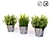 FEJKA Artificial Potted Plants: Lifelike Decor for Easy Home Greenery 3D model small image 5
