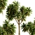 Lush New Zealand Cabbage Tree Trio 3D model small image 3