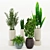 Green Paradise: Assorted Decorative Indoor Plants 3D model small image 1