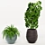 Green Paradise: Assorted Decorative Indoor Plants 3D model small image 3