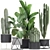 Tropical Plant Collection: Exotic Indoor & Outdoor Decor 3D model small image 1