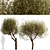 Majestic Olive Tree Set (2 Trees) 3D model small image 2