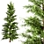 Lifelike Eastern Pine Tree Set 3D model small image 1