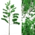 Evergreen Pine Tree: Natural Beauty 3D model small image 2