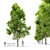 Pignut Hickory Tree (Carya glabra) 3D model small image 12