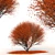 Japanese Red Maple Tree 3D model small image 1