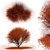 Japanese Red Maple Tree 3D model small image 4
