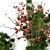 Festive Pine & Berry Bouquet 3D model small image 2