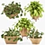 Tropical Plant Collection: Exotic Decor for Interiors 3D model small image 5