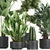 Tropical Plant Collection: Exotic Decor for Indoors & Out 3D model small image 2