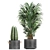 Tropical Plant Collection: Exotic Decor for Indoors & Out 3D model small image 4