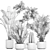 Tropical Plant Collection: Exotic Decor for Indoors & Out 3D model small image 5