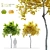 Mini Maple Tree: 3m Height, Two Material Options 3D model small image 1