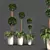 French Plant Collection: Tallest 250cm 3D model small image 1