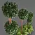 French Plant Collection: Tallest 250cm 3D model small image 2