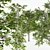 European Linden Forest: 5 Tall Trees 3D model small image 4