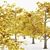 European Beech Fall - 5 Trees 3D model small image 2