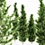 Forest Heights Hollywood Juniper Bundle 3D model small image 2