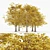 European Beech Fall Tree Set 3D model small image 1