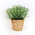 FEJKA Artificial Potted Plants: Lifelike Décor 3D model small image 3